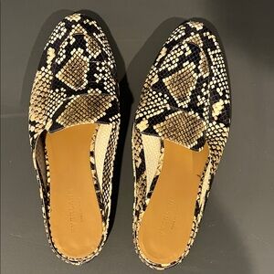 Everlane Snakeskin Pattern Loafers